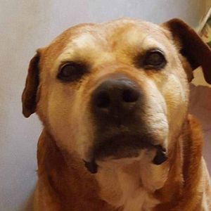 Meet your Posher, Patsy